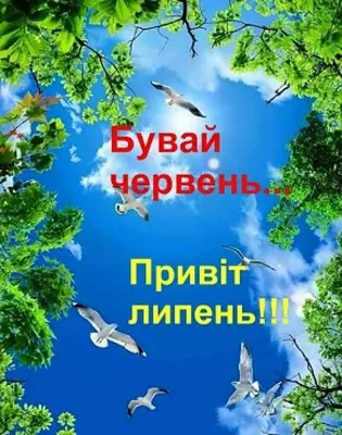 Народні прикмети на липень. Традиції, обряди. Свята і традиції. Проекти -  Новини Рівного. Відео on-line. Все про телекомпанію - Телеканал «Рівне 1»