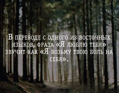 100 лучших цитат о любви: слова и чувства из самого сердца | Литрес | Дзен