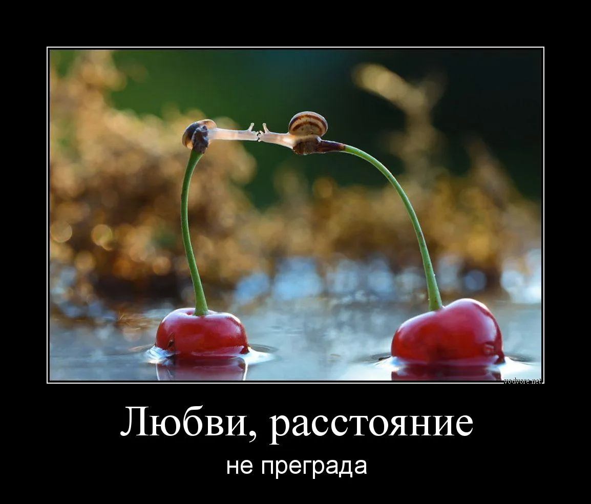 Любовь на расстоянии...» — создано в Шедевруме Любовь на расстоянии...» — создано в Шедевруме