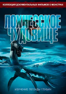 В Шотландии найден скелет Лохнесского чудовища - Новости в мире - газета  «Обзор», новости Литвы