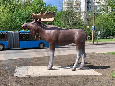 Лось (скульптура, Советск) — Википедия