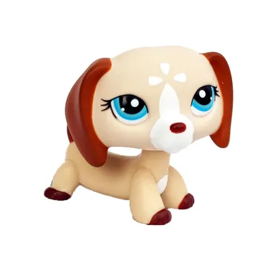 LPS CAT Littlest pet shop поплавок головы игрушки Редкие животные такса  1491 Милая Белая собака с голубыми глазами оригинальные игрушки для детей |  AliExpress