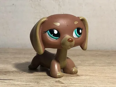 LPS CAT Original Littlest pet shop Bobble head toys собаки породы такса  #675 #640 #932 #325 | AliExpress