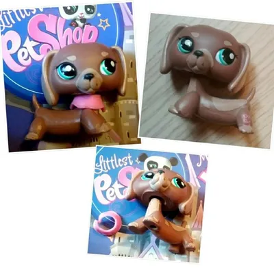 Купить LPS Littlest Pet Shop кобель таксы из ПОЛЬШИ: отзывы, фото и  характеристики на Aredi.ru (9478722500)