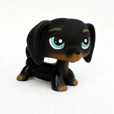 Lps #675 lps #556 Оригинал. Такса Hasbro - 300 грн, купить на ИЗИ (9816226)