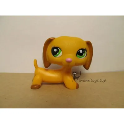 Зверушка Littlest Pet Shop - Такса Оскар купить за 130 рублей -  Podarki-Market