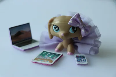 Lps, #2046 такса, редкая, littlest pet shop. - 300 грн, купить на ИЗИ  (9816219)