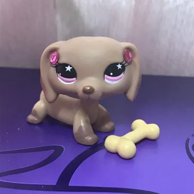 LPS CAT Littlest pet shop поплавок головы игрушки Редкие животные такса  1491 Милая Белая собака с голубыми глазами оригинальные игрушки для детей |  AliExpress