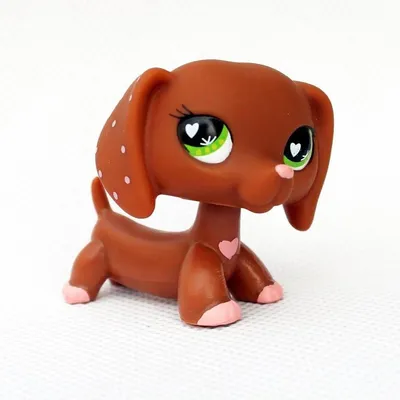 Купить Фигурки такс LPS Littlest Pet Shop PL 24h!: отзывы, фото и  характеристики на Aredi.ru (10412950796)