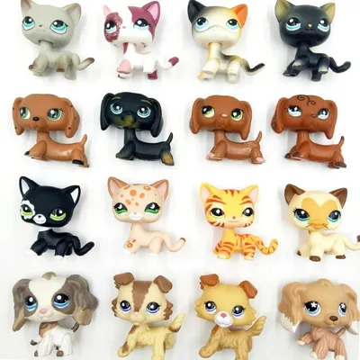 Littlest pet shop lps редкие колли, такса, спаниель,стоячки, пет шоп, цена  600 грн - купить Фигурки и персонажи новые - Клумба