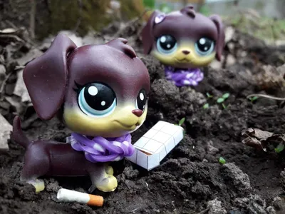 Littlest Pet Shop такса Саванна LPS – купить в Зеленограде, цена 600 руб.,  продано 10 марта 2018 – Игрушки и игры