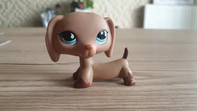 Купить Собака такса №325 Littlest Pet Shop LPS ОРИГИНАЛ!: отзывы, фото и  характеристики на Aredi.ru (9974186966)