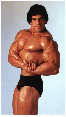 Лу Ферриньо (Lou Ferrigno) Лу Ферригно, Лу Фериньо, фотографии, биография,  соревнования, бодибилдинг