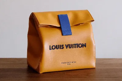 Adding a Crossbody Strap to a Louis Vuitton Pochette - since wen