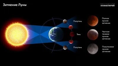 Когда будет голубая луна в 2023 году