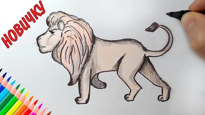 How to Draw a Lion step by step | Drawing animals | Step-by-Step Drawing -  YouTube