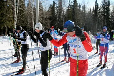 Комплект зимних видов спорта, различные виды лыжного спорта, сноуборд,  катание на коньках Иллюстрация вектора - иллюстрации насчитывающей  комплект, активизма: 158814934