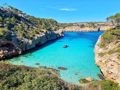 12 Things to Do in Mallorca in March - Hellotickets