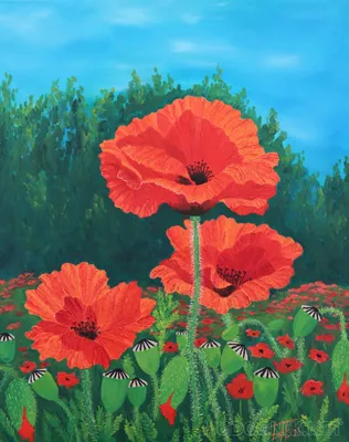 Poppies. Маки. PNG. | Акварельные цветы, Маки, Цветы