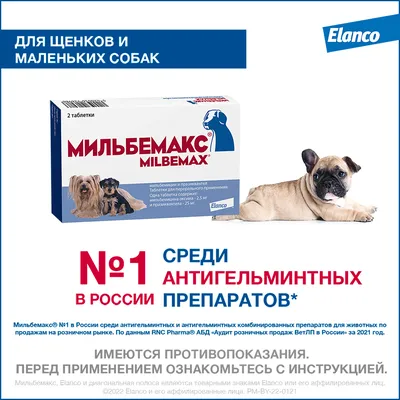 МИЛЬБЕМАКС для щенков и мелких собак, 2 табл. купить в Новосибирске с  доставкой в интернет-магазине ЗооСАТ