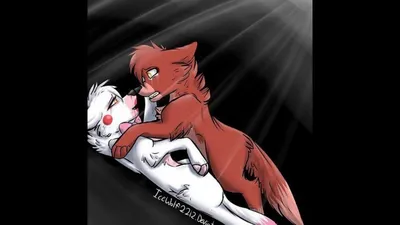 Foxy, Mangle, cute, couple; Five Nights at Freddy's | Fnaf art, Anime, Cool  drawings