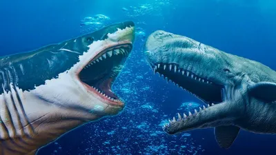 Мегалодон | Otodus Megalodon 2024 | ВКонтакте