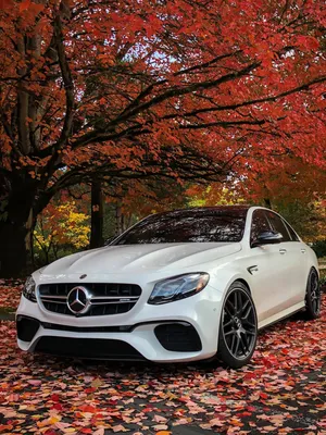 Pin by Lobo Visual Design Studio on Mercedes Benz AMG | Mercedes car, Benz  car, Sports car