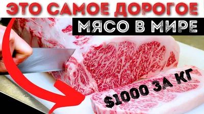 Что такое дегидрированное мясо в корме? | Karmy | Дзен