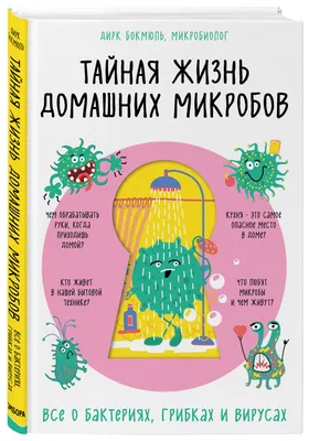 Что такое микробы: о видах, среде обитания и уничтожении микробов