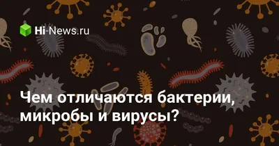 Стоит ли постоянно избавиться от всех микробов и в какой период их больше  всего