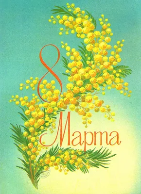 Тюльпан и Мимоза- символы 8 Марта!