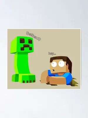 Minecraft Steve | SRB2 Message Board