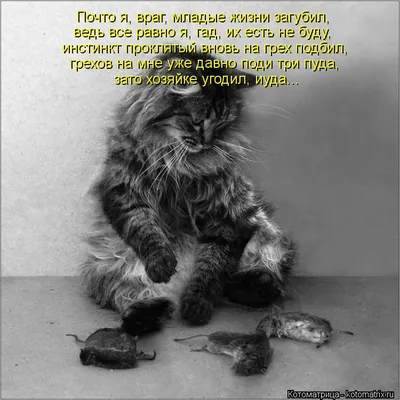 Группа «ПИКЧИ!» выпустила сингл «МНЕ УЖЕ ВСЁ РАВНО» | ПОРТАЛ СУБКУЛЬТУРА |  Дзен