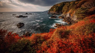 Осенний Ланжерон. Чайки, взволнованное море, ноябрьское солнце и пустынный  пляж (фоторепортаж) | Новости Одессы