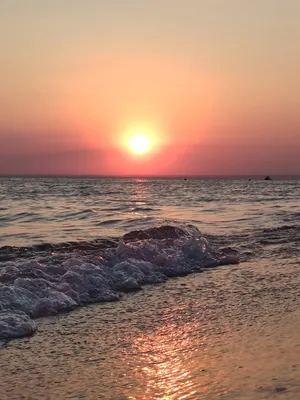 Закат+песок+пальмы+море, закат на …» — создано в Шедевруме