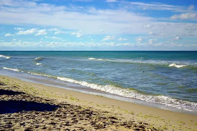 Почему Чёрное море на 90% заполнено сероводородом? | МИР НАУКИ: интересное  вокруг | Дзен