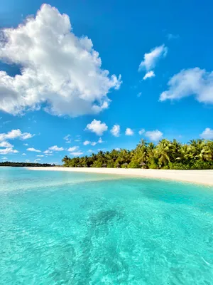 Лазаревское море: фотографии и красивые обои | Лазаревское море Фото  №1275765 скачать