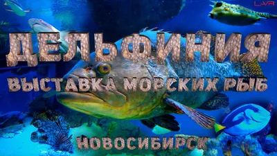 Набор морских рыб PNG, акварель. Иллюстрация. Артикул 69262