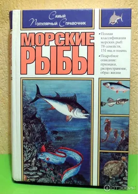 10 самых удивительных рыб - Телеканал «О!»