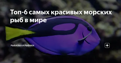 Морские рыбы начали уменьшаться из-за изменений климата - Питомцы Mail.ru