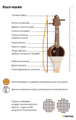 Особенности растаможки музыкальных инструментов