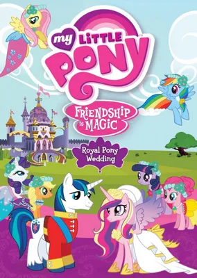 Мой маленький пони Дружба это чудо My Little Pony це диво Мій поні: 95 грн.  - CD / DVD / пластинки / кассеты Киев на Olx