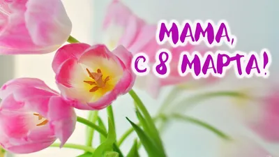 Подарки на 8 марта: корзина вязаная любимой маме в интернет-магазине  Ярмарка Мастеров по цене 765 ₽ – UKNV4BY | Подарки на 8 марта, Курск -  доставка по России