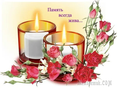 ГарбукАлеся#9днейсоднясмерти#Вечнаяпамять🙏🙏🙏🕯️🕯️🕯️ | TikTok