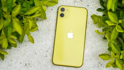 iPhone 11 Review: Is It Worth Buying in 2023? | Phone Daddy