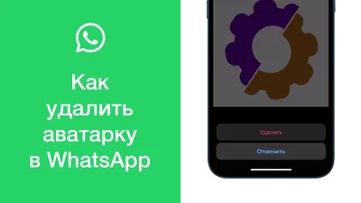 Как удалить аватарку (фото профиля) в WhatsApp - YouTube