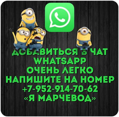 В WhatsApp появилась беседа с самим собой - Hi-Tech Mail.ru