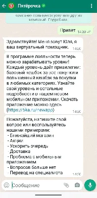 Как создать работающий WhatsApp чат-бот для бизнеса [Запись вебинара] -  Блог об email и интернет-маркетинге