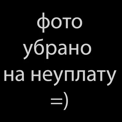 Веселые картинки на аву с надписями (43 фото) » Юмор, позитив и много  смешных картинок