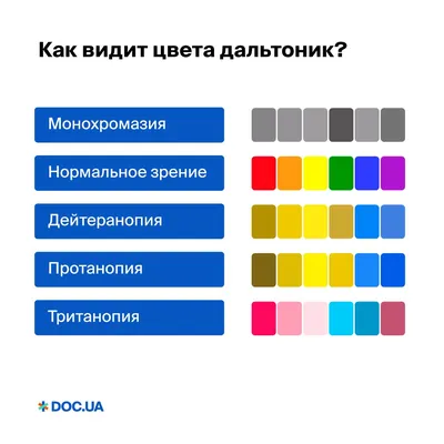 Как дальтоники видят наш мир - Факты о дальтонизме | Ralzo | Дзен